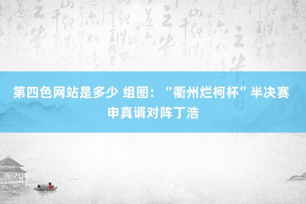 第四色网站是多少 组图：“衢州烂柯杯”半决赛 申真谞对阵丁浩