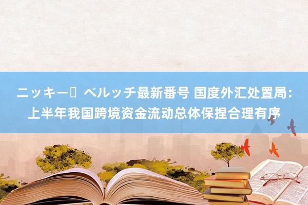 ニッキー・ベルッチ最新番号 国度外汇处置局：上半年我国跨境资金流动总体保捏合理有序