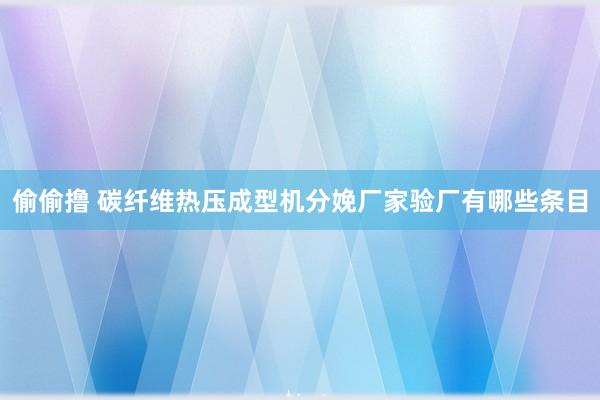 偷偷撸 碳纤维热压成型机分娩厂家验厂有哪些条目