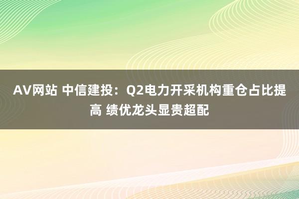 AV网站 中信建投：Q2电力开采机构重仓占比提高 绩优龙头显贵超配