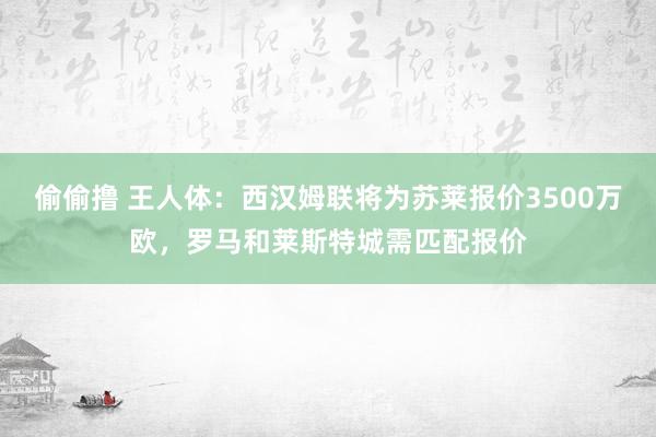 偷偷撸 王人体：西汉姆联将为苏莱报价3500万欧，罗马和莱斯特城需匹配报价