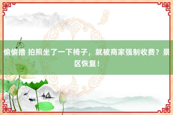 偷偷撸 拍照坐了一下椅子，就被商家强制收费？景区恢复！