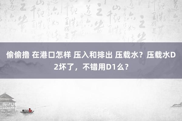 偷偷撸 在港口怎样 压入和排出 压载水？压载水D2坏了，不错用D1么？