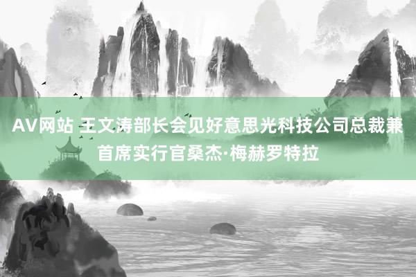 AV网站 王文涛部长会见好意思光科技公司总裁兼首席实行官桑杰·梅赫罗特拉