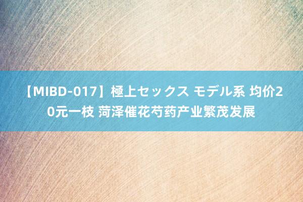 【MIBD-017】極上セックス モデル系 均价20元一枝 菏泽催花芍药产业繁茂发展