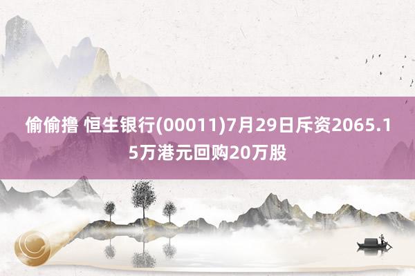 偷偷撸 恒生银行(00011)7月29日斥资2065.15万港元回购20万股