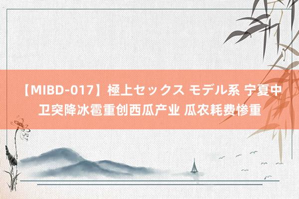 【MIBD-017】極上セックス モデル系 宁夏中卫突降冰雹重创西瓜产业 瓜农耗费惨重