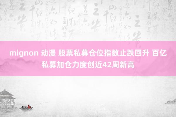 mignon 动漫 股票私募仓位指数止跌回升 百亿私募加仓力度创近42周新高