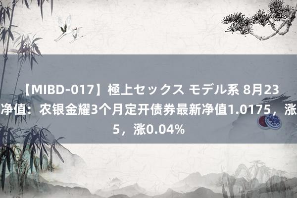 【MIBD-017】極上セックス モデル系 8月23日基金净值：农银金耀3个月定开债券最新净值1.0175，涨0.04%