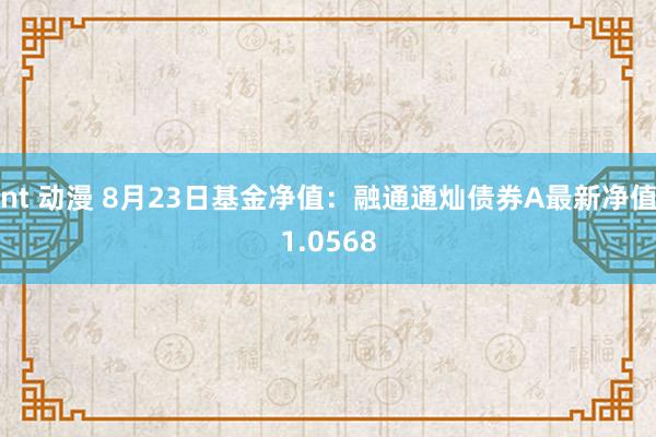 nt 动漫 8月23日基金净值：融通通灿债券A最新净值1.0568