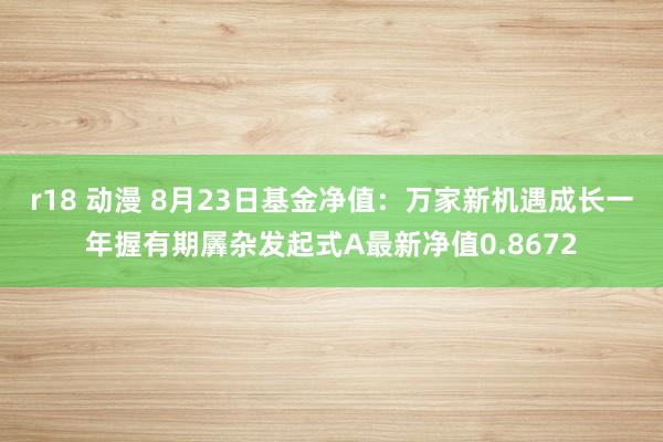 r18 动漫 8月23日基金净值：万家新机遇成长一年握有期羼杂发起式A最新净值0.8672