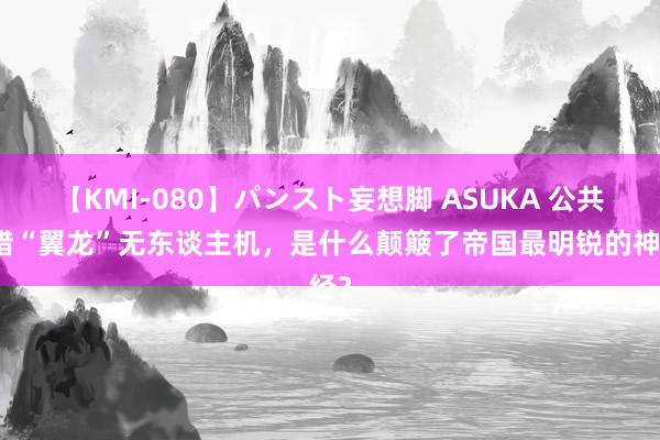 【KMI-080】パンスト妄想脚 ASUKA 公共围猎“翼龙”无东谈主机，是什么颠簸了帝国最明锐的神经？