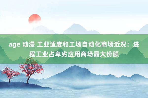 age 动漫 工业适度和工场自动化商场近况：进程工业占卑劣应用商场最大份额