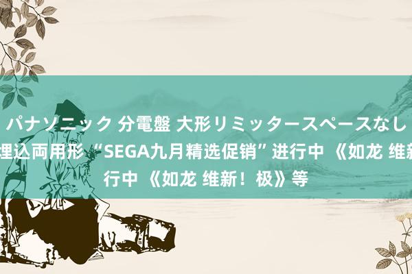 パナソニック 分電盤 大形リミッタースペースなし 露出・半埋込両用形 “SEGA九月精选促销”进行中 《如龙 维新！极》等