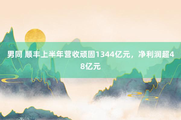 男同 顺丰上半年营收顽固1344亿元，净利润超48亿元