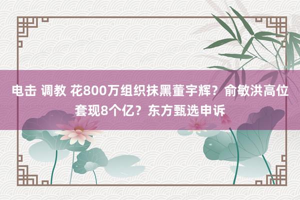 电击 调教 花800万组织抹黑董宇辉？俞敏洪高位套现8个亿？东方甄选申诉