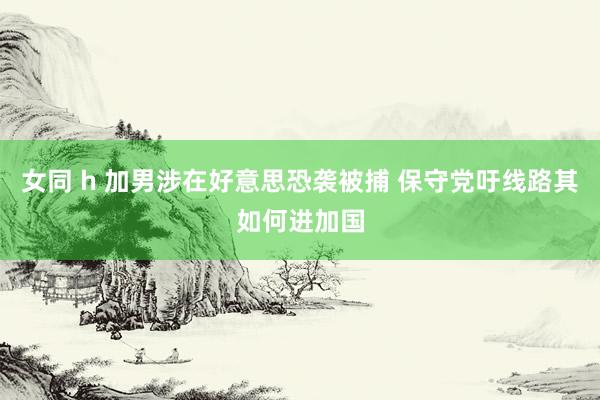 女同 h 加男涉在好意思恐袭被捕 保守党吁线路其如何进加国