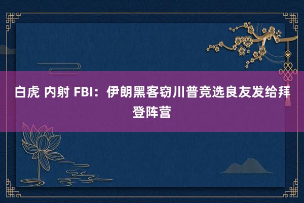 白虎 内射 FBI：伊朗黑客窃川普竞选良友发给拜登阵营