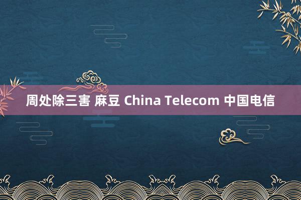 周处除三害 麻豆 China Telecom 中国电信